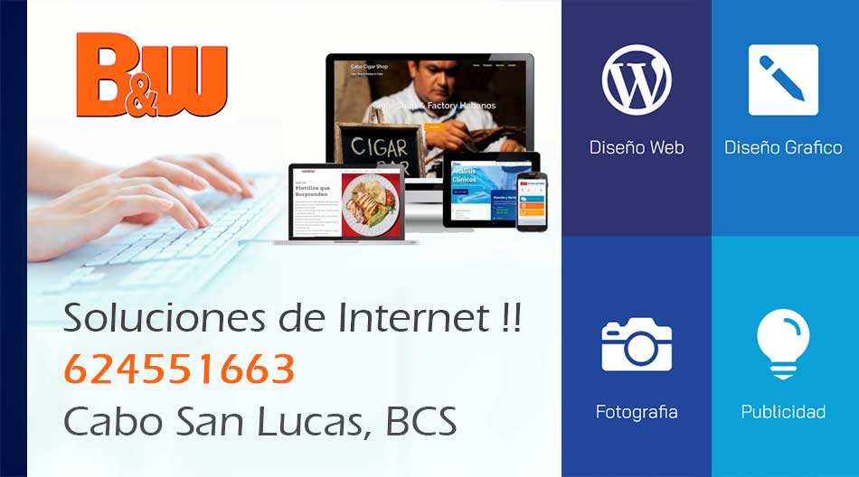 Business & Webs Los Cabos