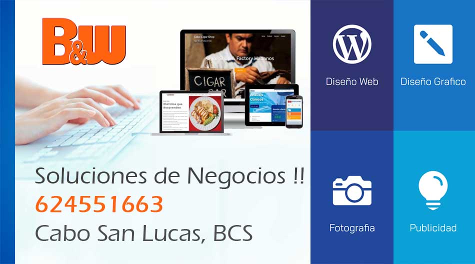 diseno-de-sitios-web-los-cabos